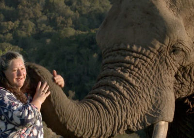 Lisette Withers, la maman des éléphants